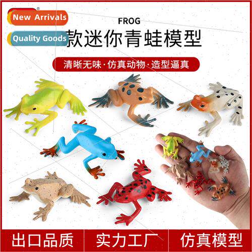 Wildlife model mini set frog toad toad bullfrog solid childr