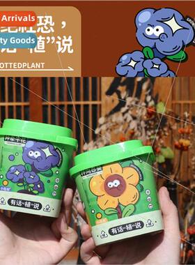 Plants office pots diy planting children small pots gift des