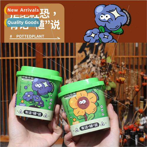 Plants office pots diy planting children small pots gift des