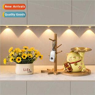 Yuanbao Fortune Cat Tray Flower Arrangement Storage Modern m