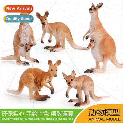 Children educational science teaching ornaments handmade toy