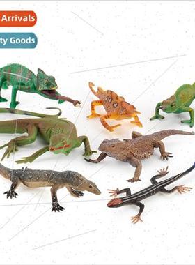 puzzle science education amphibian lizard chameleon variety