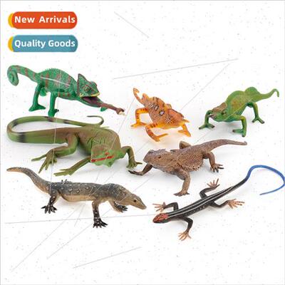 puzzle science education amphibian lizard chameleon variety