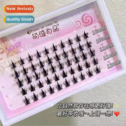 Savage Demon 3 Rows 5 Rows Segmented -Extension False Eyelas