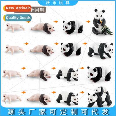 Wildlife cats bears growth process children cognive national