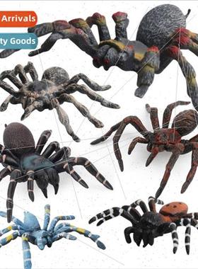 Wild insect animal model spider model simulation spider soli