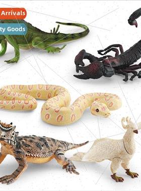 Forest animal model children cognive whe phoenix green iguan