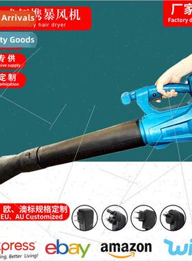 Snow Blowing Rechargeable Blower High Power Portable thium B