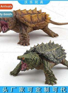 Amphibian reptile freshwater turtle snapping turtle model or