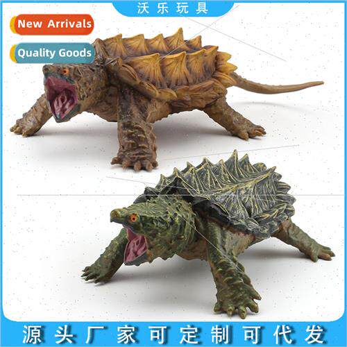 Amphibian reptile freshwater turtle snapping turtle model or