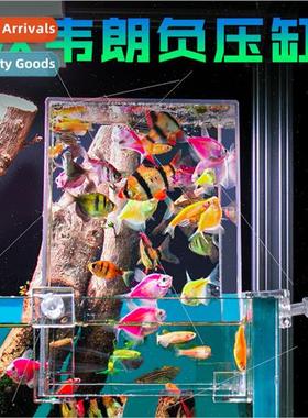 Negative pressure fish tank ecological tank aquascape decora