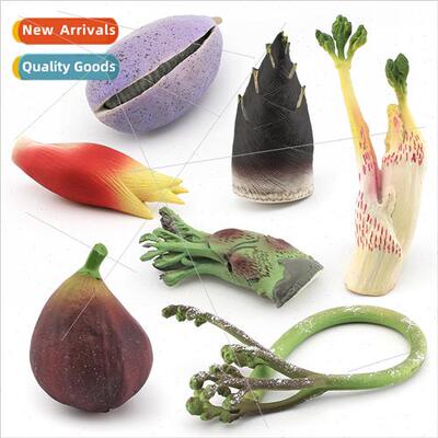 Vegetables frus mountain  model fern figs water bamboo shoot