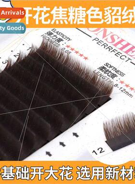 New 0.05 Brown Mink Flowering Eyelash Extensions False Eyela