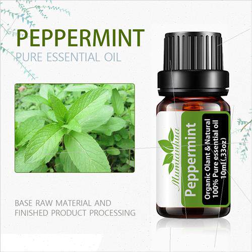 Peppermint Essential Oil Aromatherapy Aromatherapy Plant ngl