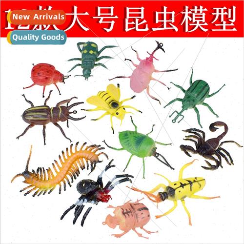 12 PVC plastic spider scorpion centipede bedbug beetle crick
