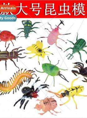 12 PVC plastic spider scorpion centipede bedbug beetle crick