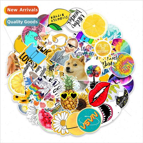 53 pcs of chrysanthemum fresh summer graffiti stickers bag c