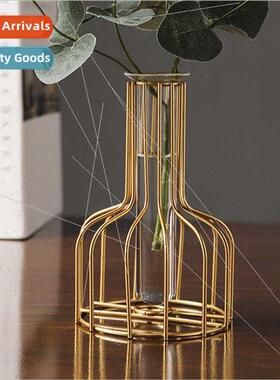 Scandinavian simple line plating iron glass vase flower arra