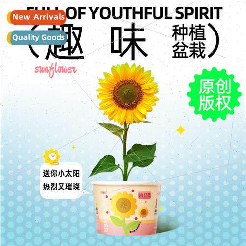 Children fun planting cups small potted plants desktop ornam