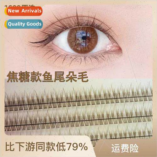 Caramel Brown Fishtail Fairy False Eyelash Segmented ngle Cl