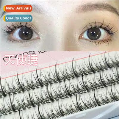 Angel  sandwich false eye lashes female natural imp extensio