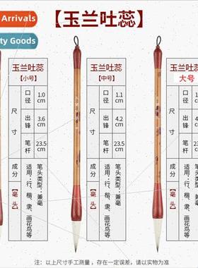 Partial hair students rows script script regular script brus