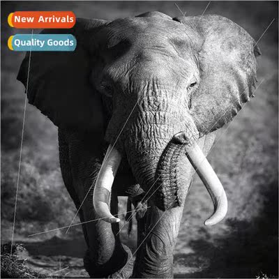 Cross Stch New DIY Elephant Full Stch mple Handmade Thread C