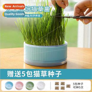 Cat Grass Bowl Shape Roman Pattern Soilless Hydroponic Growi