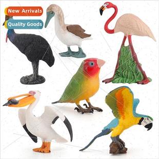 science children education cognive flaming Bird static model