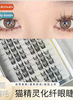 New Pure Desire Cat Elf False Eyelashes Lazy Segmented Kten