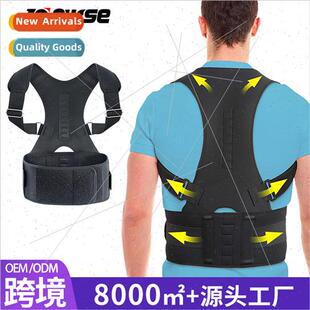 Adult back support fixed belt adjusting sting posture to enh