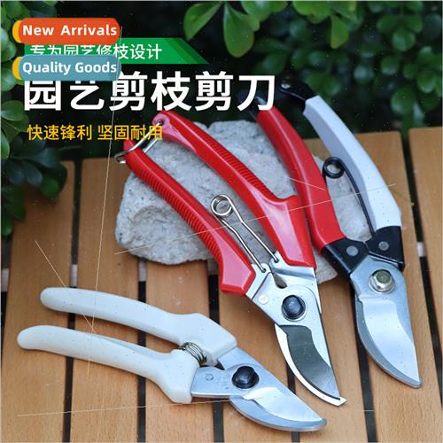Garden tools pruning shears garden shears flower branches bo