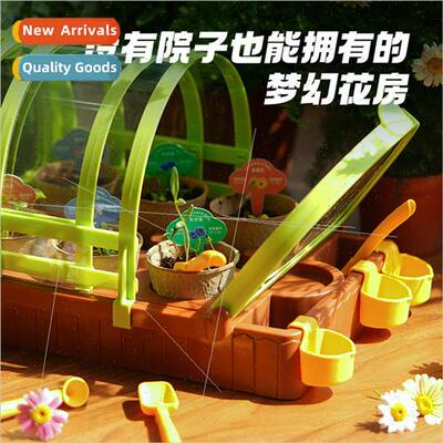 Kotak Duck Bloom Bar Flower Room Plant Observation Planting