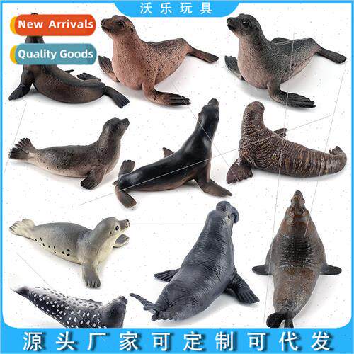 set solid static ornaments artifacts toys seals sea lions wa