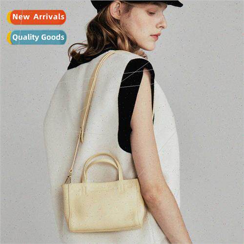 2023 fall winter new French mini Tote bag fashion handbag le