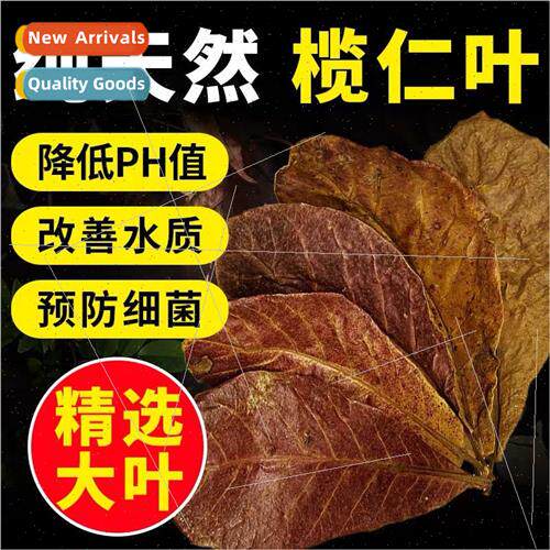 Crazy Aquatic PlantsElemium LeafFighting FishLazy LeafFish A