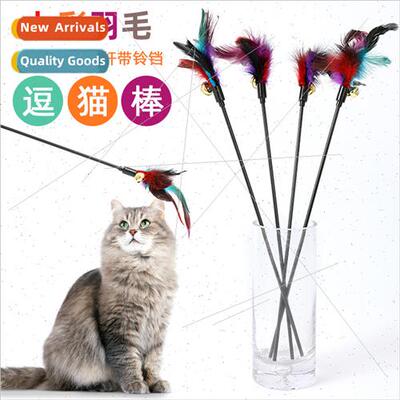 Interactive teaser cat stick colourful feather teaser cat st