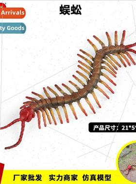 Wildlife model centipede centipede tianlong centipedes arthr