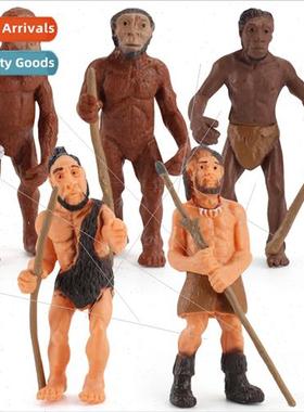 Human evolutionary history model southern paleo-ape man late