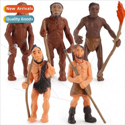 Human evolutionary history model southern paleo-ape man late
