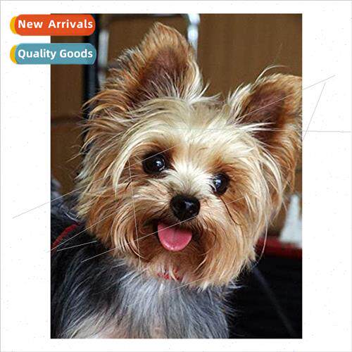 New full cute puppy dining room diamond cross stch living ro
