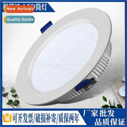 led downlight recessed spotlight 2.5 inch no main light bedr