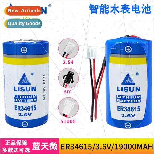 ER34615 water meter gas meter flow meter PLC IOT 1 D type 3.