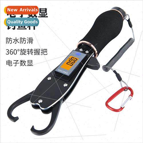 a fish control device electronic scale gun type a pliers wh