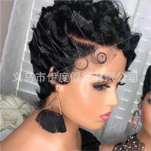 Ladies Short Curly Europe Black Synthetic Fashion Wigs