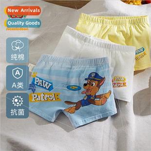 Woof team childrens underpants boys flat baby four corner un