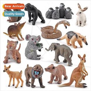 tailed deer anteater Brown koala whe kangaroo squirrel bear