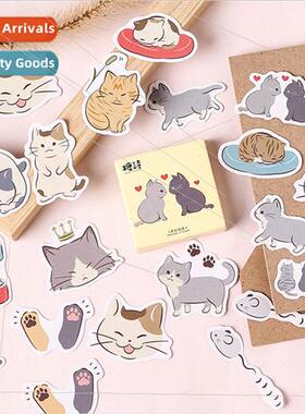 Boxed Stickers 45pcs in Jerk Cat Diary Washi Stickers Creati