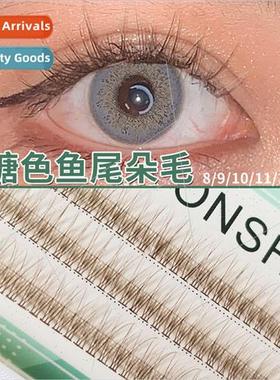 Caramel Fishtail Fairy False Eyelash Segmented Swallowtail n