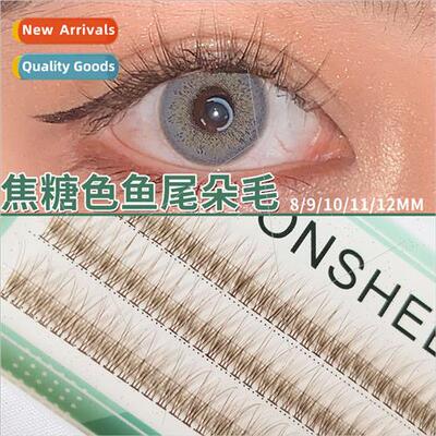 Caramel Fishtail Fairy False Eyelash Segmented Swallowtail n